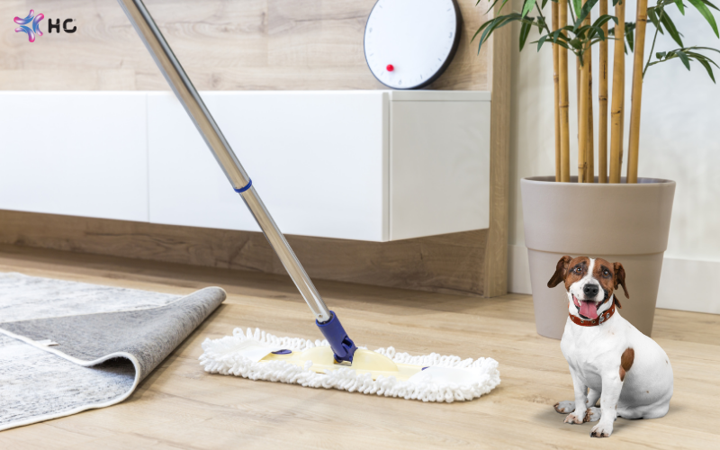 khử mùi ẩm mốc, khử mùi thú cưng